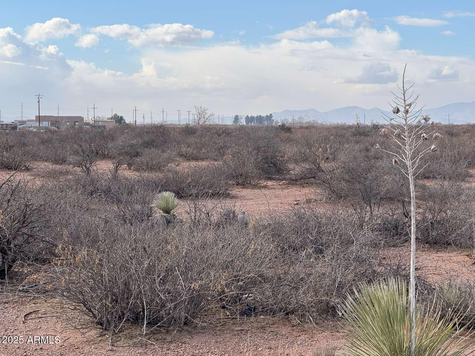 0 North Beki Lane Douglas, AZ 85607 - Photo 4 of 13 Linde.4