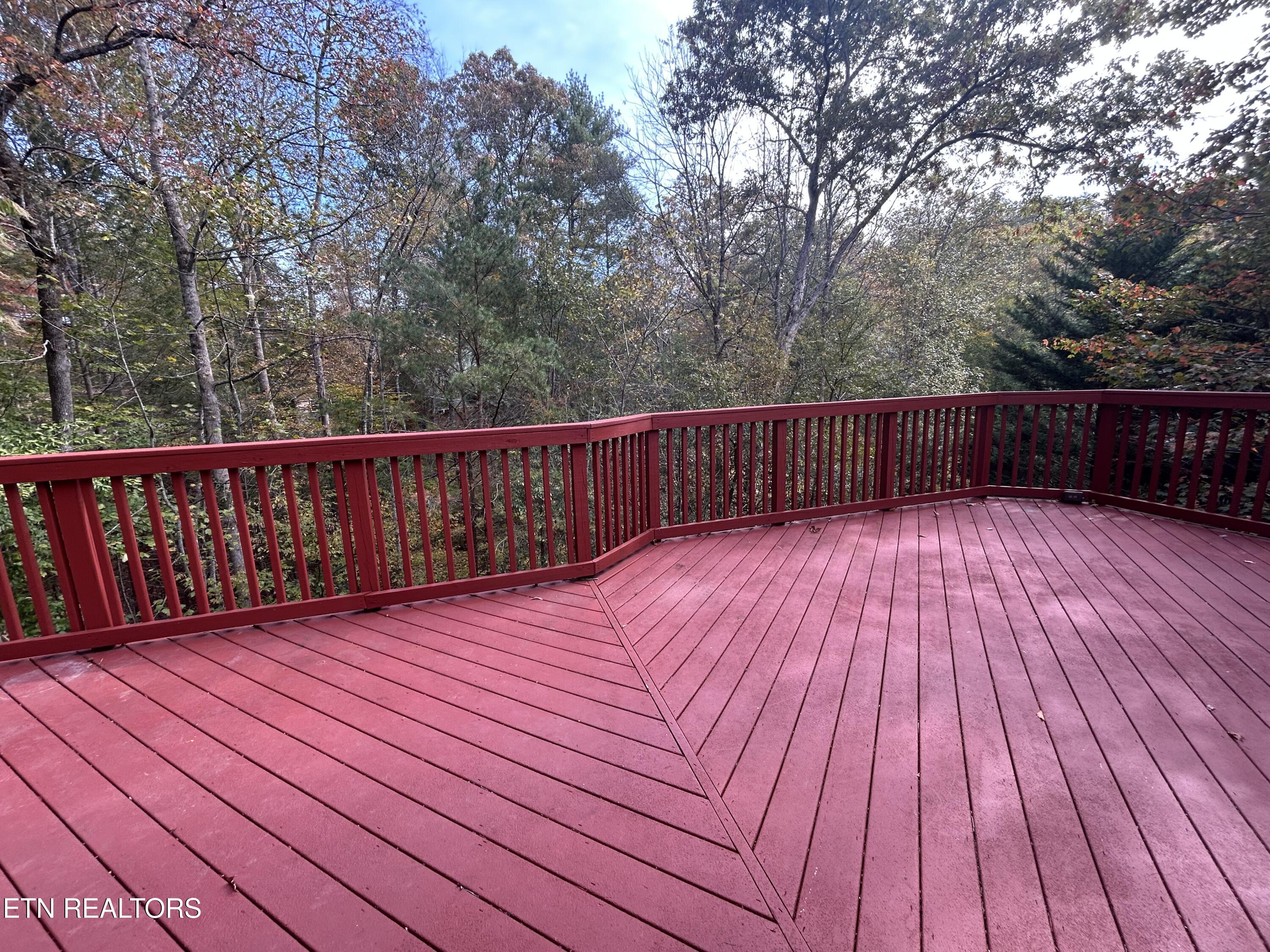 409 Laurel Trace Road Townsend, TN 37882 - Photo 15 of 27 IMG_3563