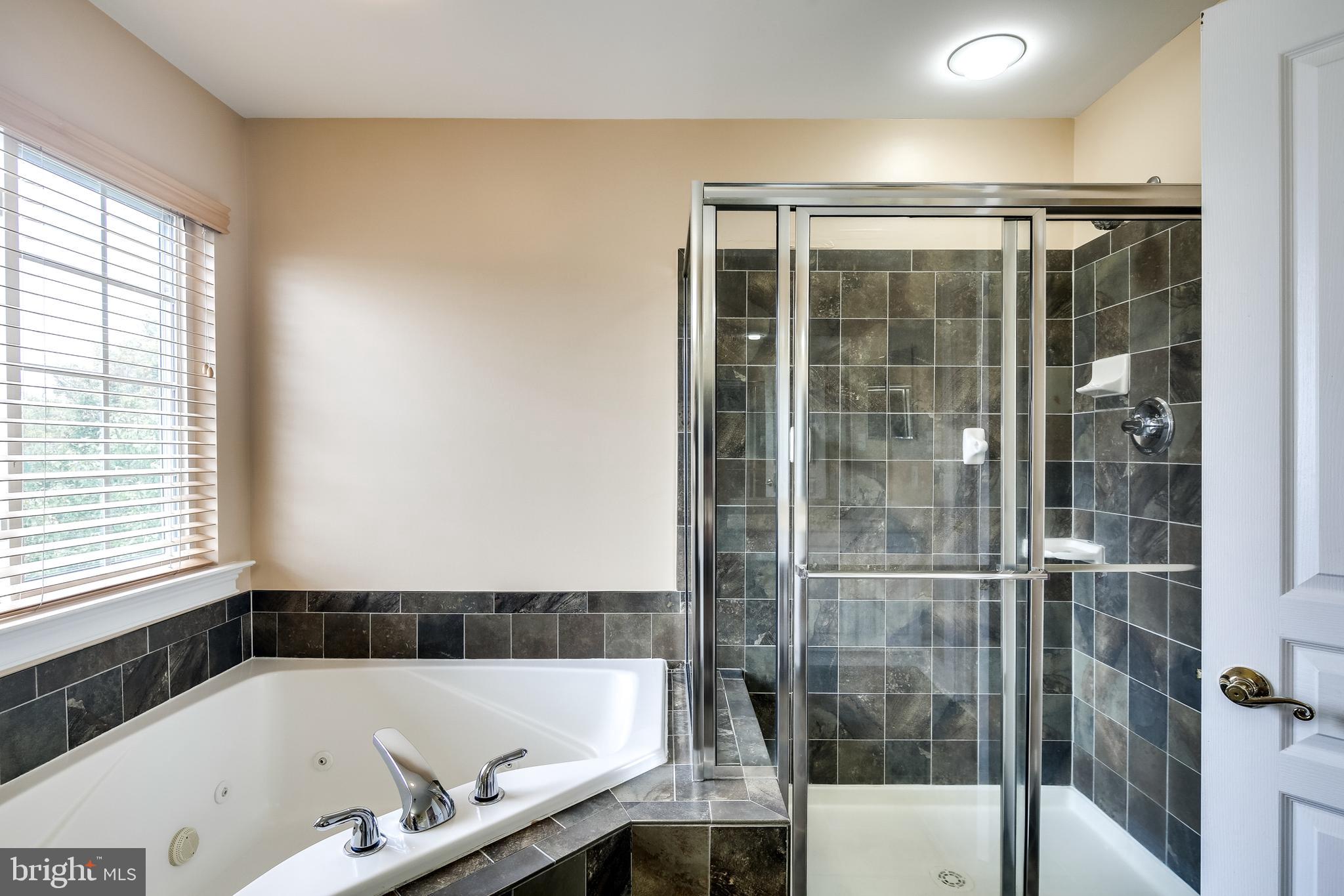 8068 Four Quarter Road Ellicott City, MD 21043 - Photo 23 of 42 Separate bath and shower