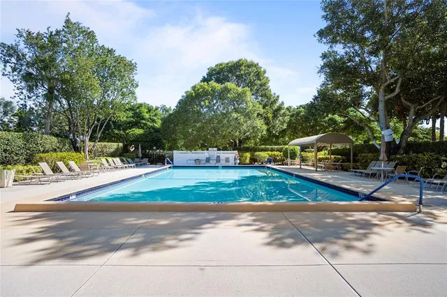 a street view with tall trees