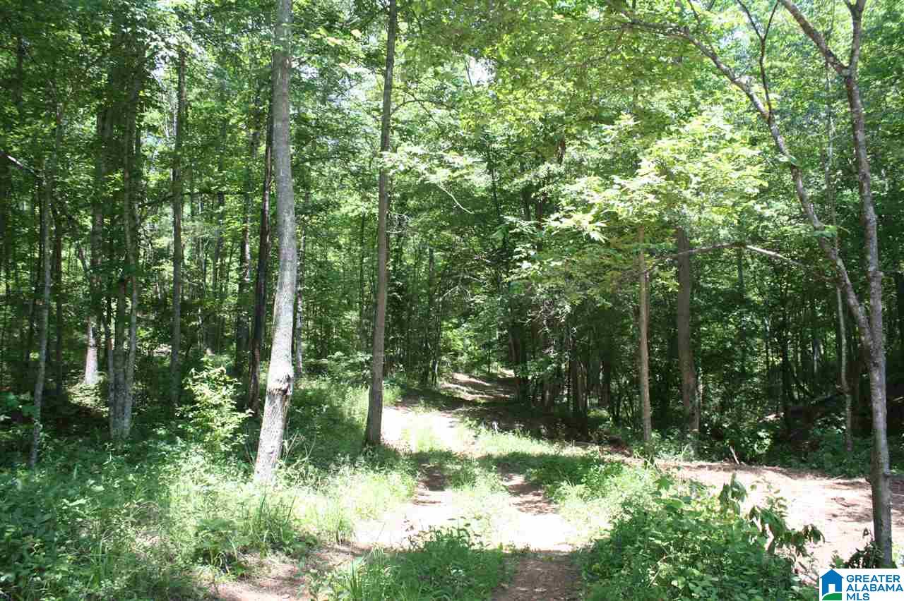 810 Weeks Drive, Unit 152 ACRES Delta, AL 36258 - Photo 8 of 24