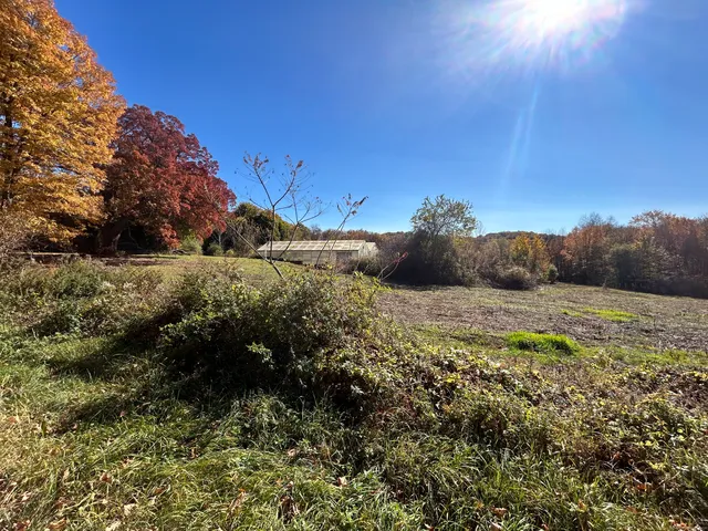a view of an outdoor space and a yard