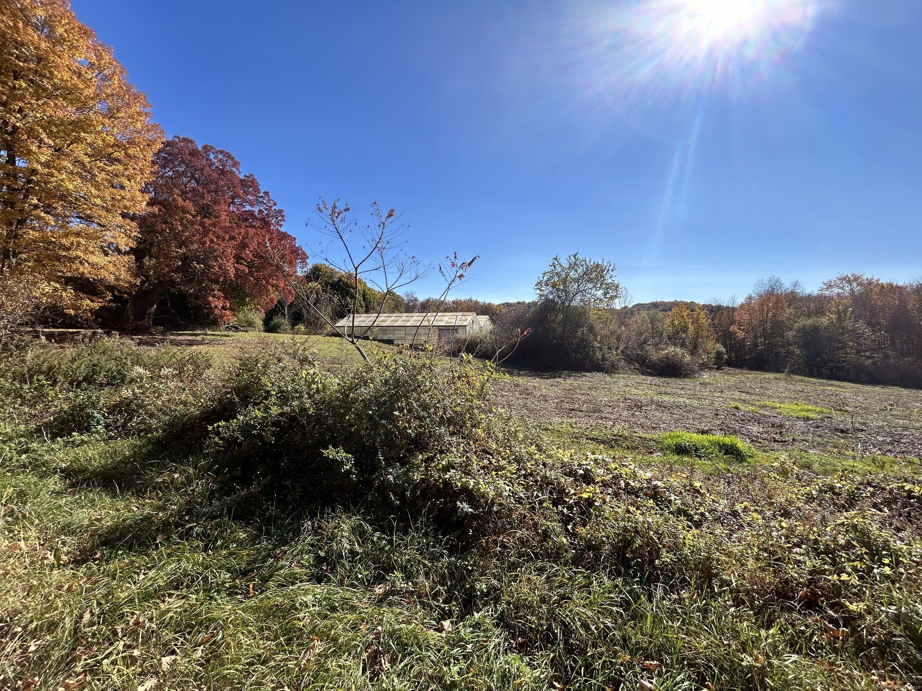 21 Newgate Road East Granby, CT 06026 - Photo 14 of 25 a view of a yard