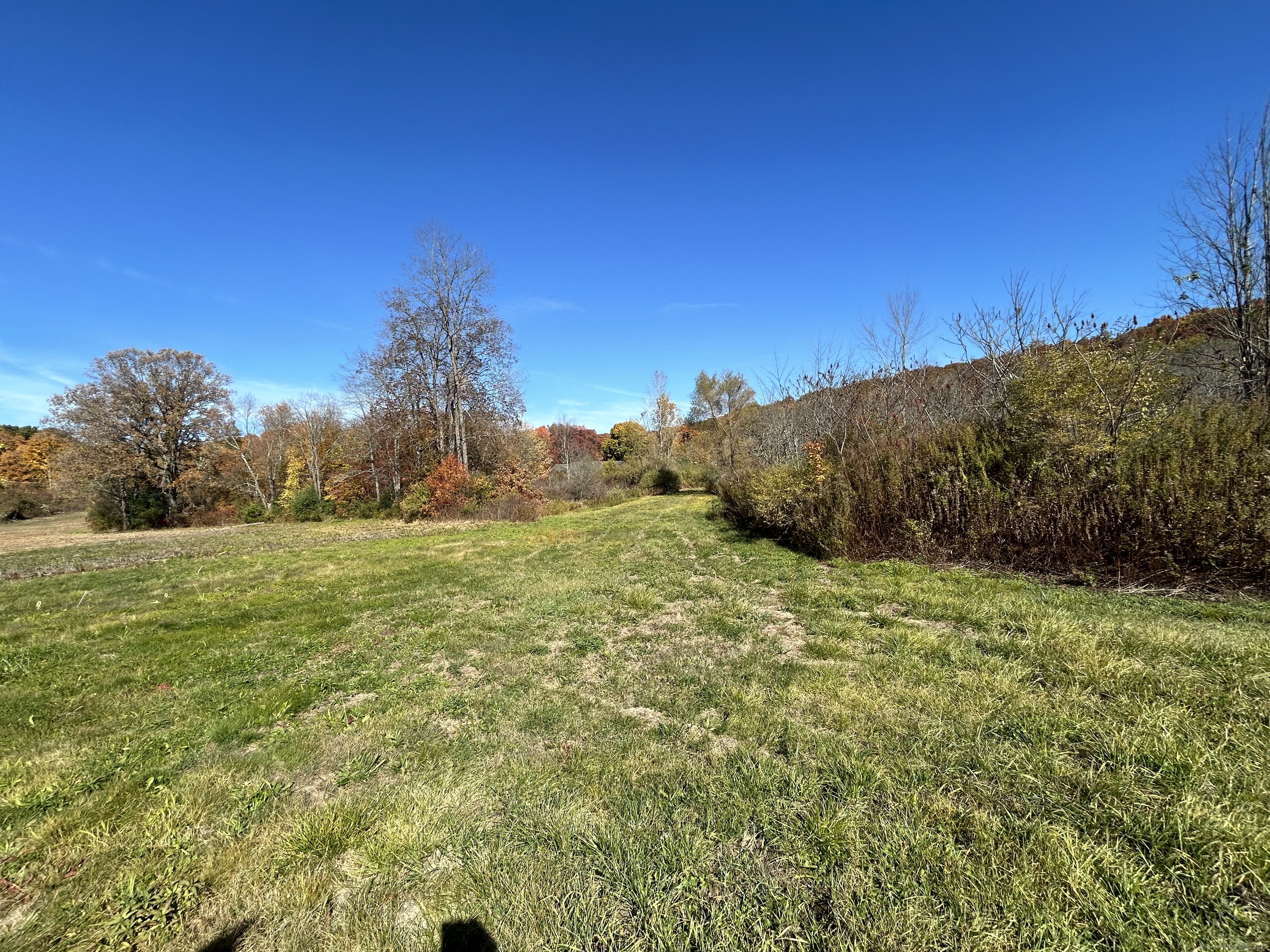 21 Newgate Road East Granby, CT 06026 - Photo 15 of 25 a big yard with lots of green space