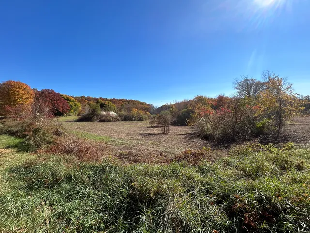 a view of an ocean and a mountain