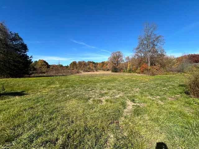 a view of a field with an ocean