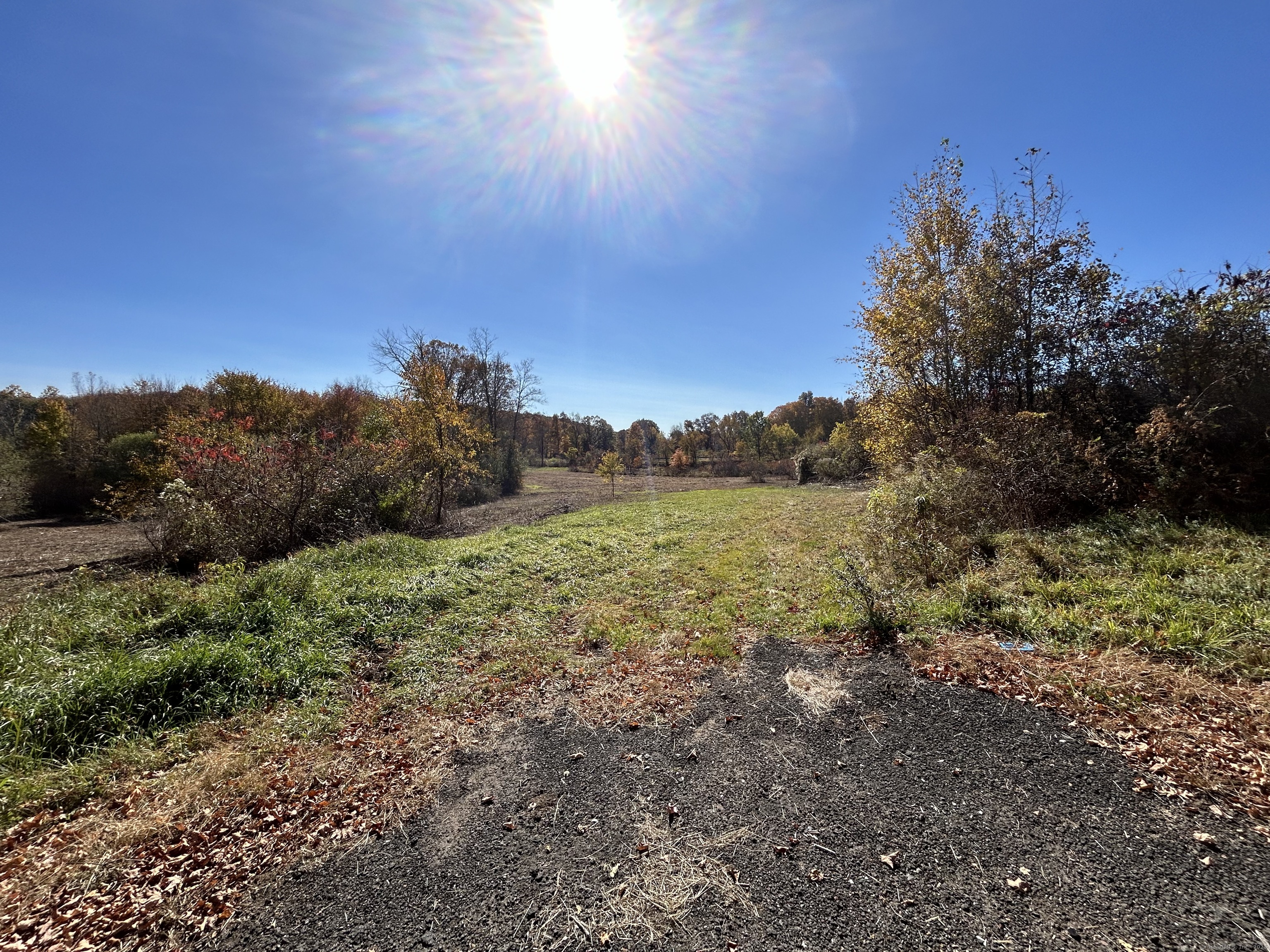 21 Newgate Road East Granby, CT 06026 - Photo 20 of 25 a view of a field with trees in the background