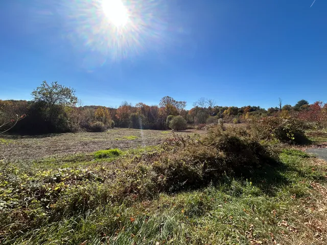 a view of an outdoor space and a yard