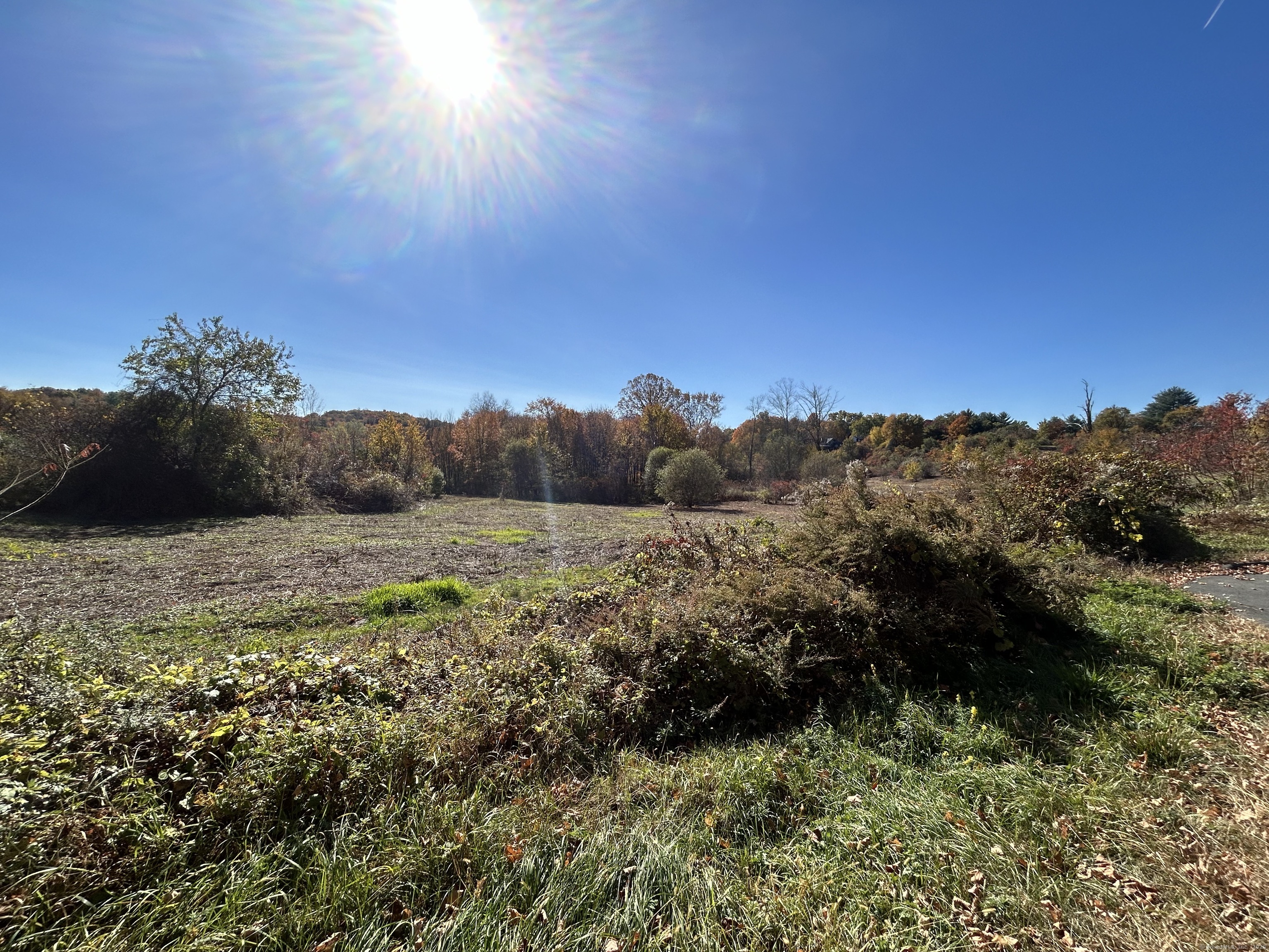 21 Newgate Road East Granby, CT 06026 - Photo 23 of 25 a view of a yard