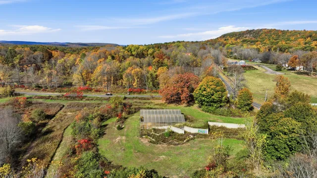 a view of a lake with a mountain in the background