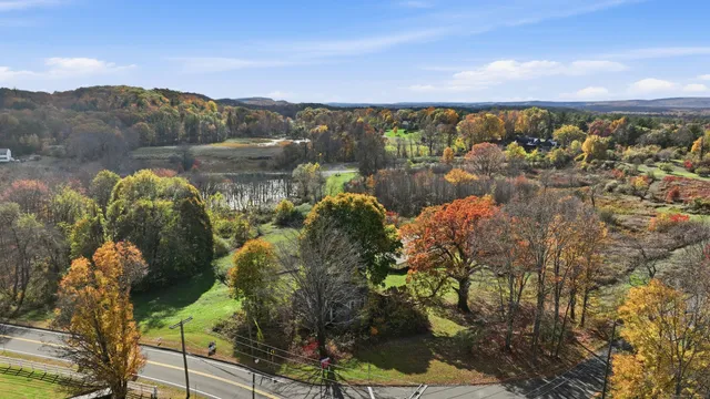 a view of a large trees with lots of trees