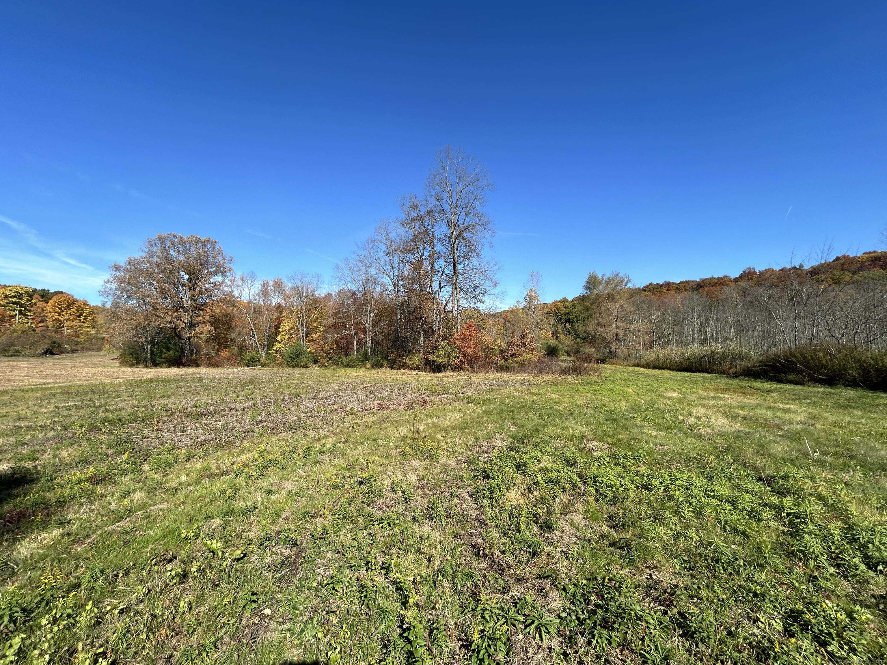 21 Newgate Road East Granby, CT 06026 - Photo 9 of 25 a view of an outdoor space and a yard