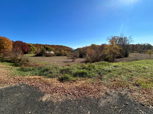 a view of mountain and tree