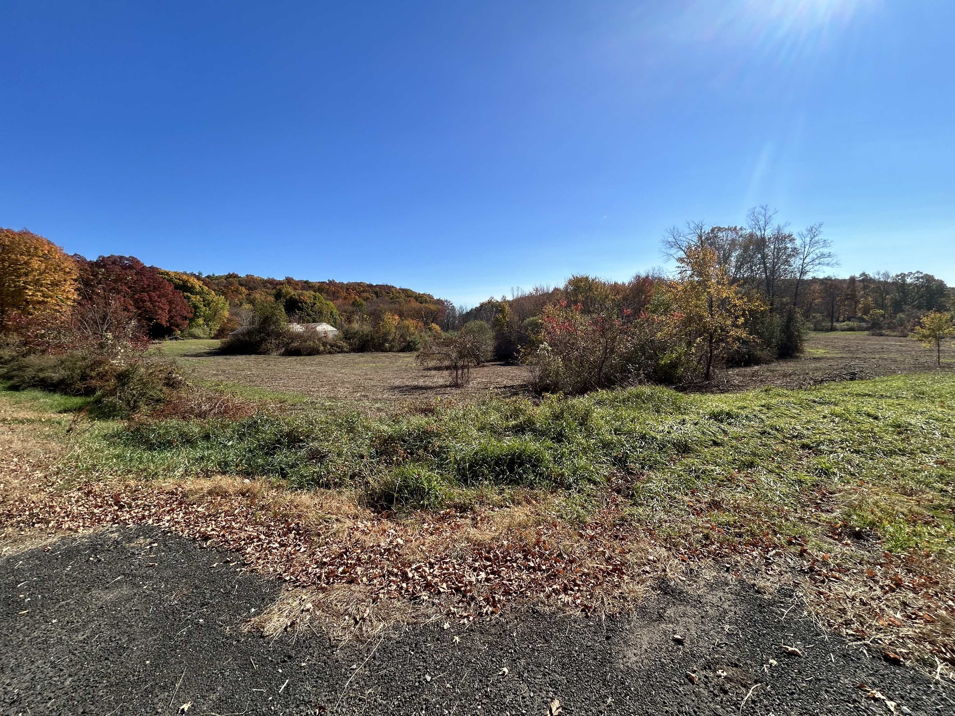 21 Newgate Road East Granby, CT 06026 - Photo 10 of 25 a view of a large trees with lots of trees