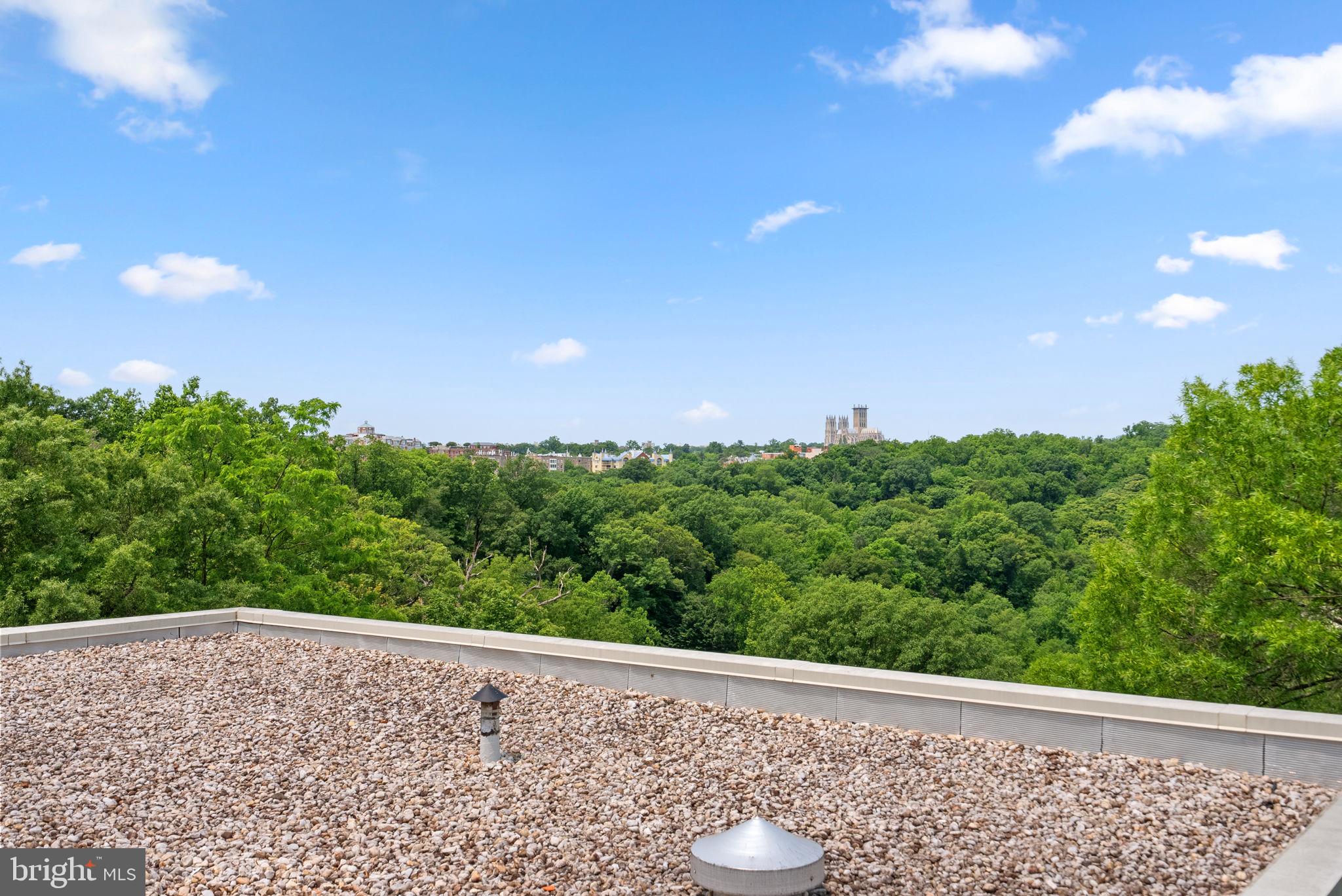 3025 Ontario Road Northwest, Unit 108 Washington, DC 20009 - Photo 26 of 28 Gallery Image 26