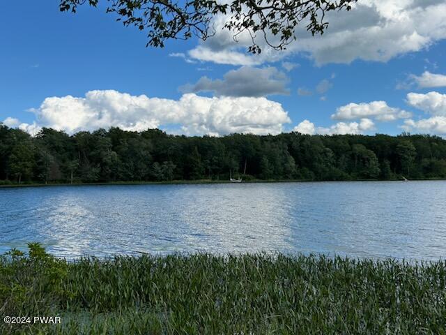 Lot R-c1 Spruce Lake Road Thompson, PA 18465 - Photo 2 of 19