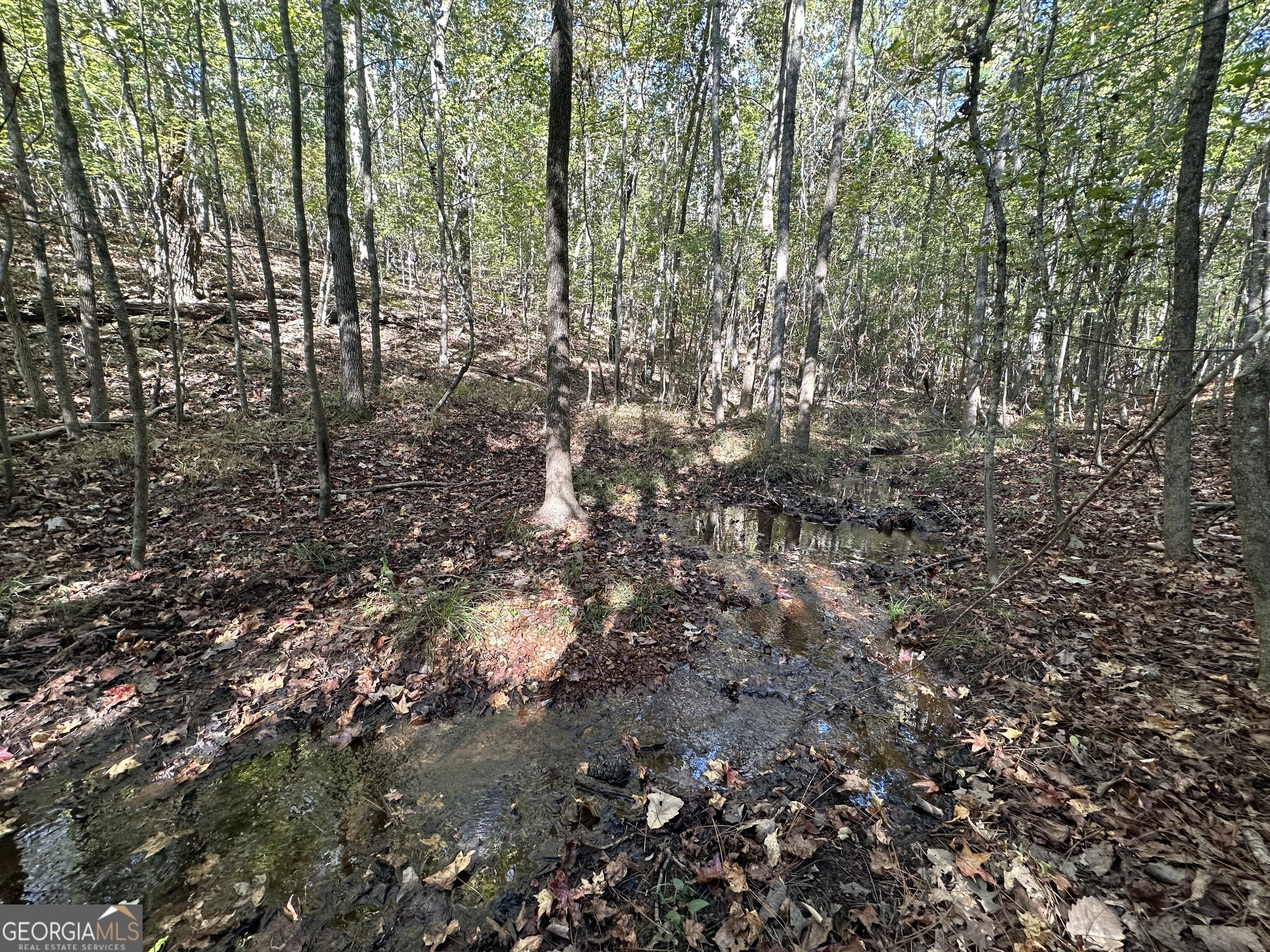 0 Hamp Smith Road Thomaston, GA 30286 - Photo 11 of 28 a view of a house with lots of trees