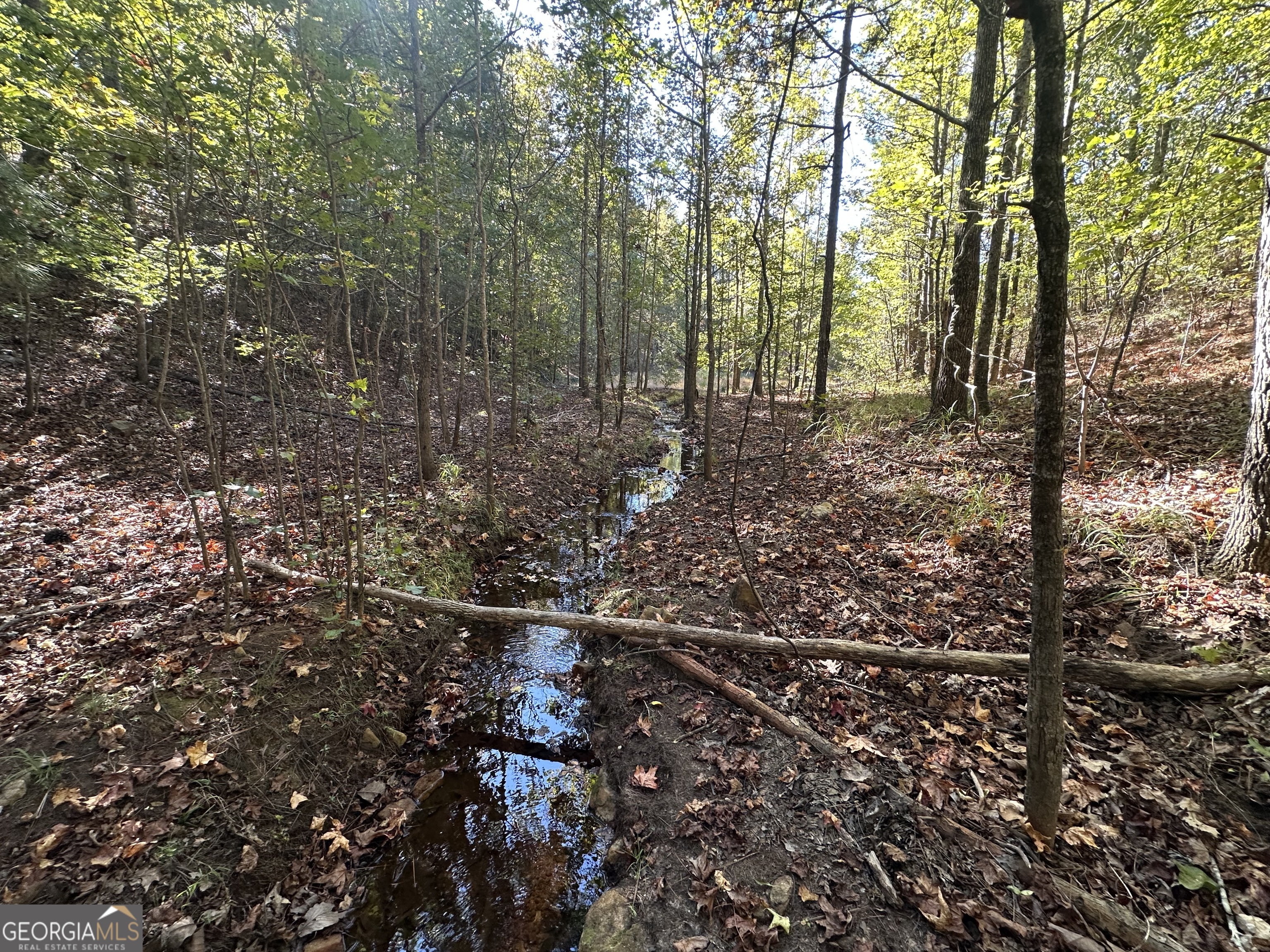 0 Hamp Smith Road Thomaston, GA 30286 - Photo 12 of 28 a view of forest