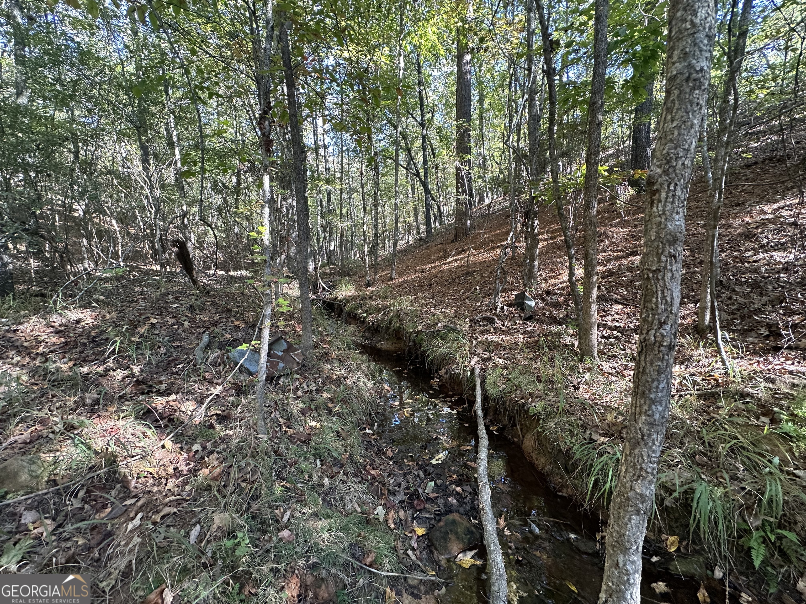 0 Hamp Smith Road Thomaston, GA 30286 - Photo 14 of 28 a view of a forest with trees