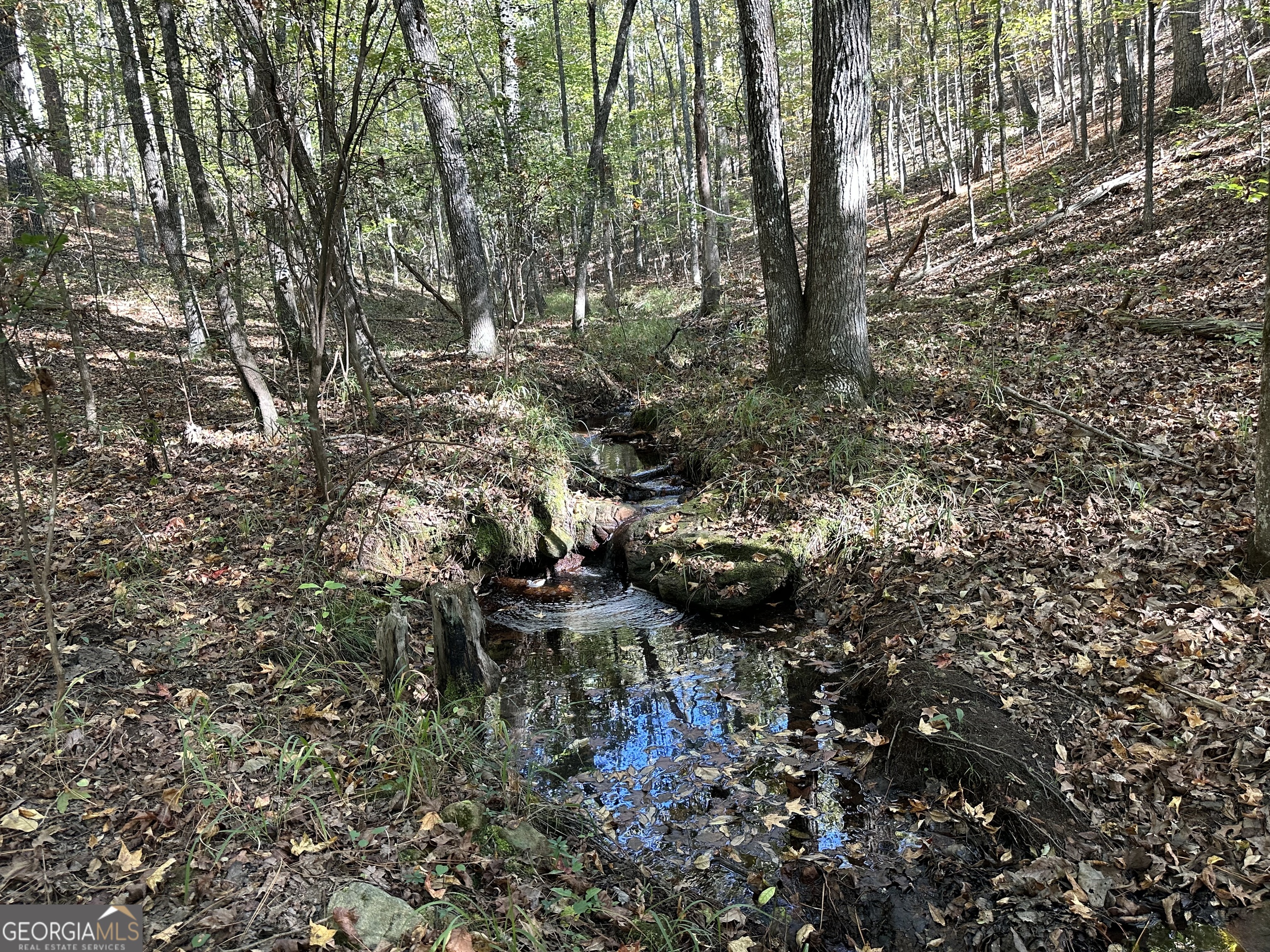 0 Hamp Smith Road Thomaston, GA 30286 - Photo 15 of 28 a backyard of a house with lots of green space