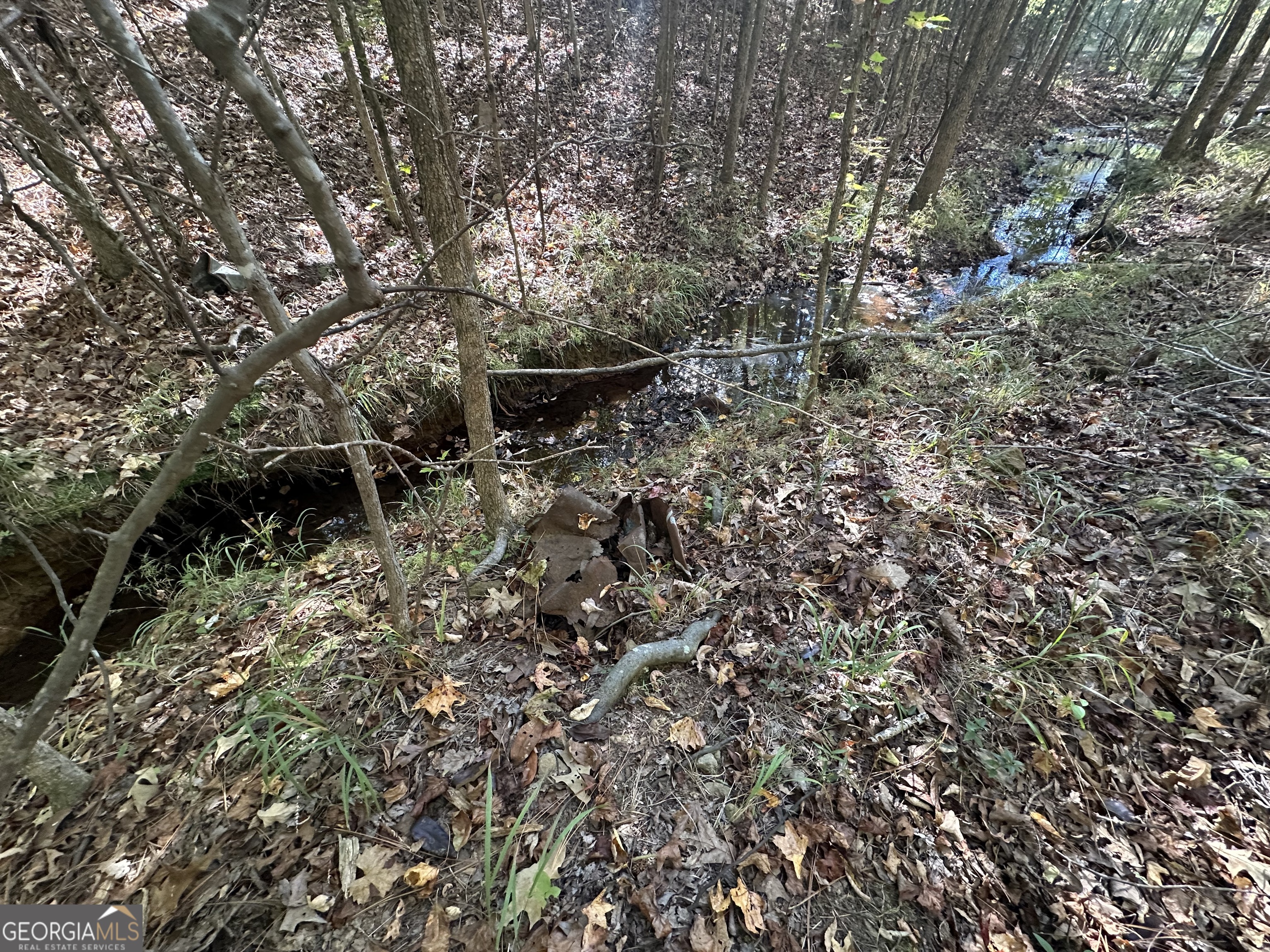 0 Hamp Smith Road Thomaston, GA 30286 - Photo 17 of 28 a backyard of a house with lots of green space