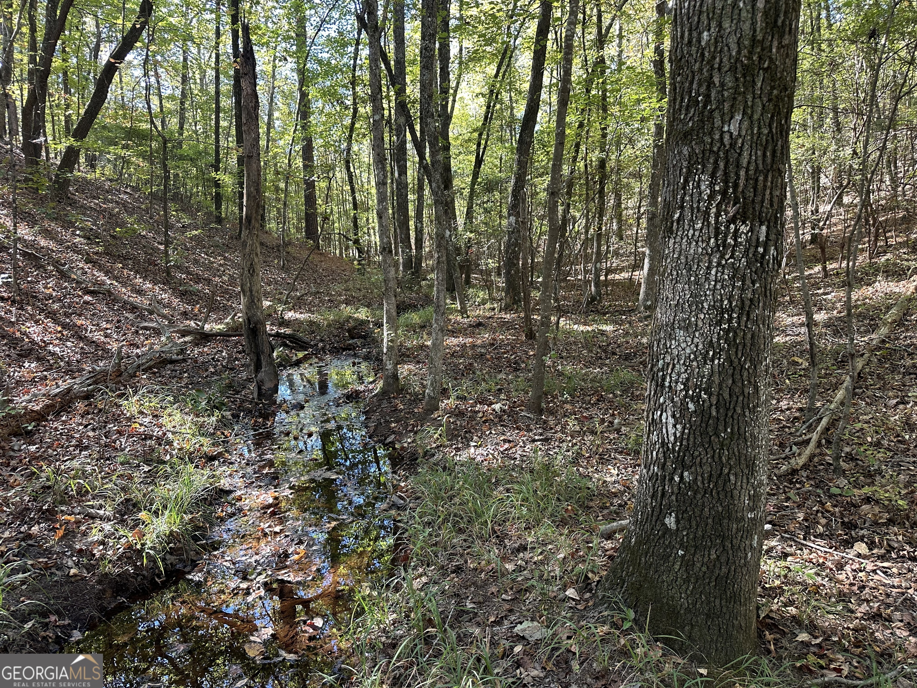 0 Hamp Smith Road Thomaston, GA 30286 - Photo 18 of 28 a view of outdoor space and green space