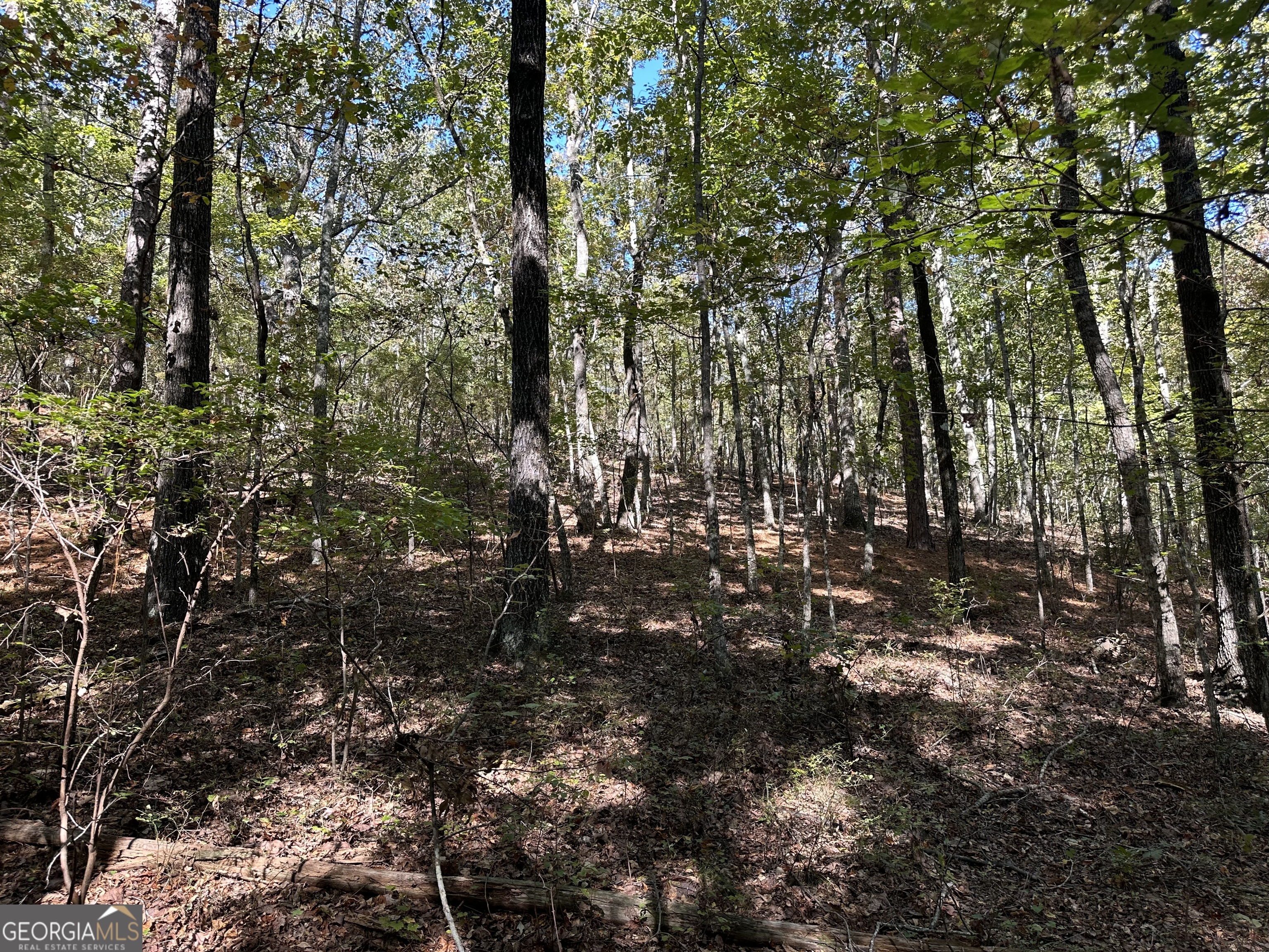 0 Hamp Smith Road Thomaston, GA 30286 - Photo 19 of 28