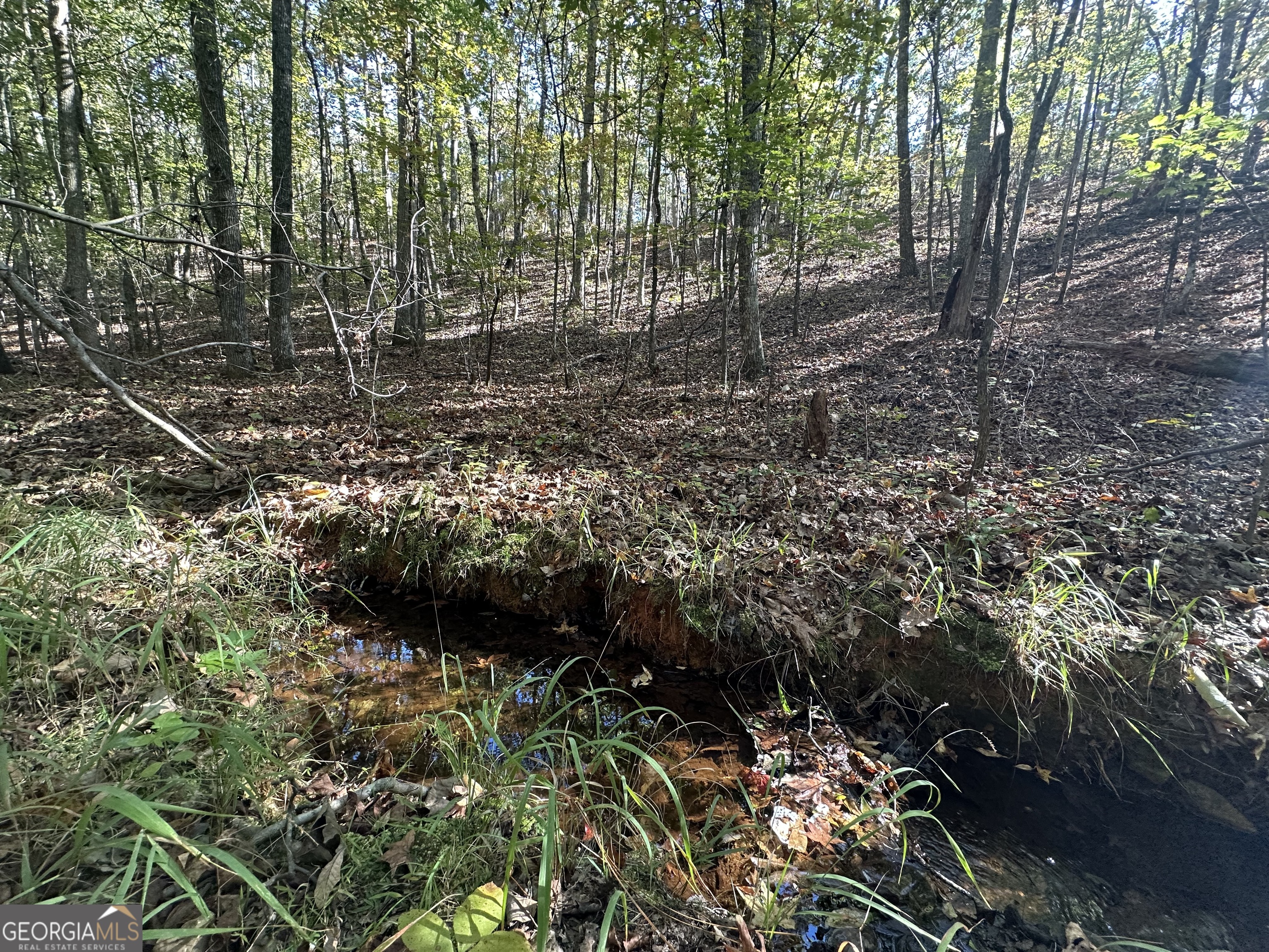 0 Hamp Smith Road Thomaston, GA 30286 - Photo 20 of 28 a view of a forest with trees