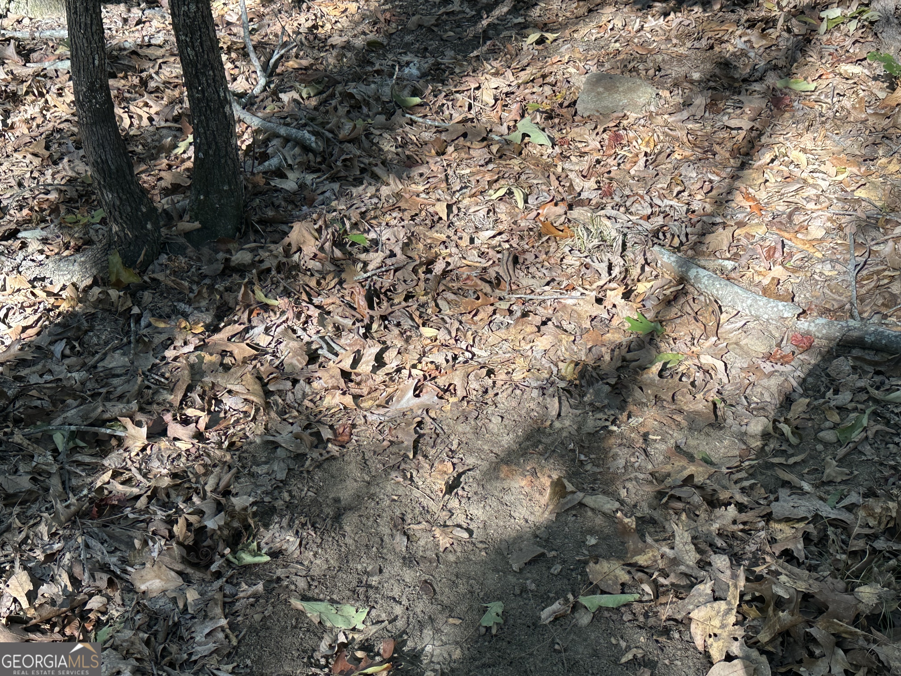 0 Hamp Smith Road Thomaston, GA 30286 - Photo 23 of 28 a view of a tree