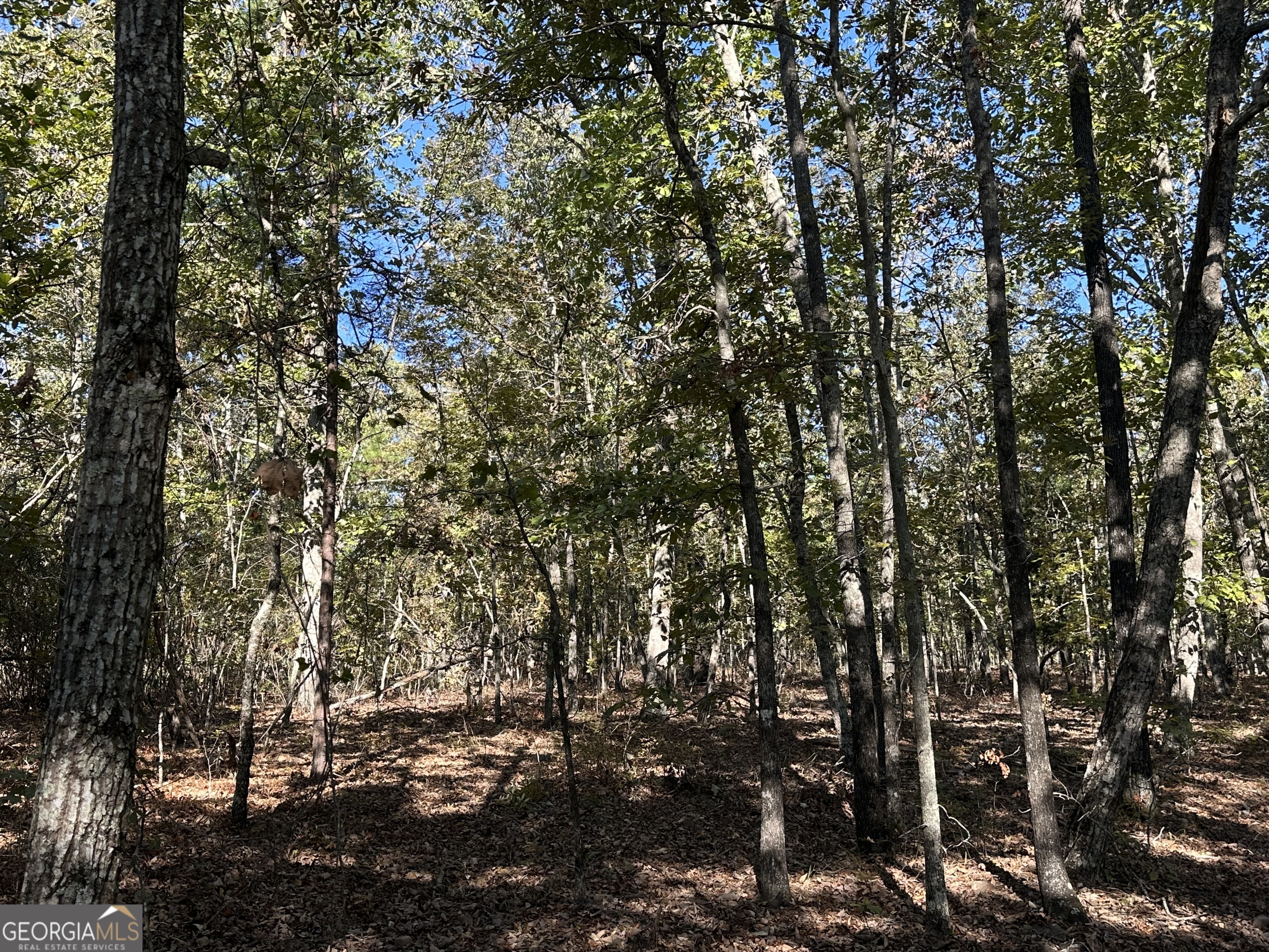 0 Hamp Smith Road Thomaston, GA 30286 - Photo 27 of 28 a view of a tree