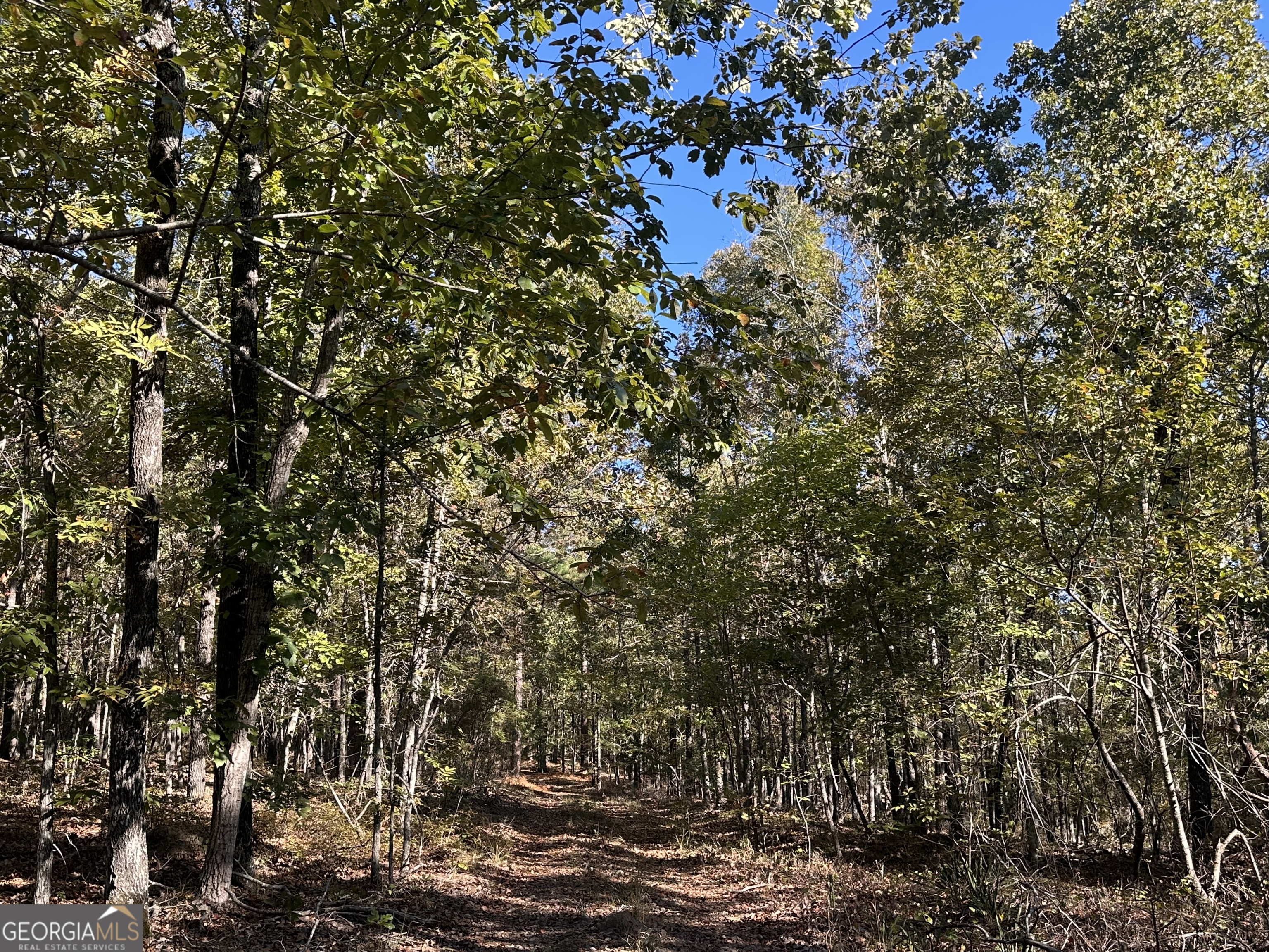 0 Hamp Smith Road Thomaston, GA 30286 - Photo 28 of 28 a view of a tree