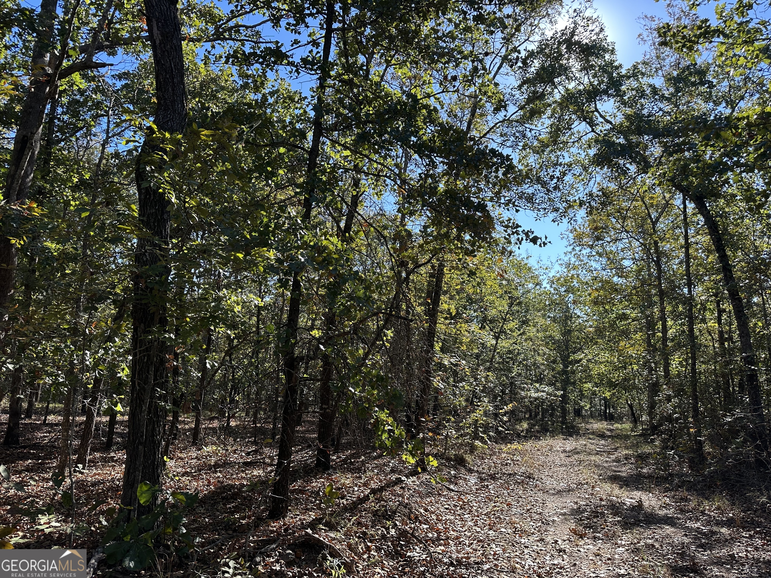 0 Hamp Smith Road Thomaston, GA 30286 - Photo 5 of 28 a view of a forest with trees in the background