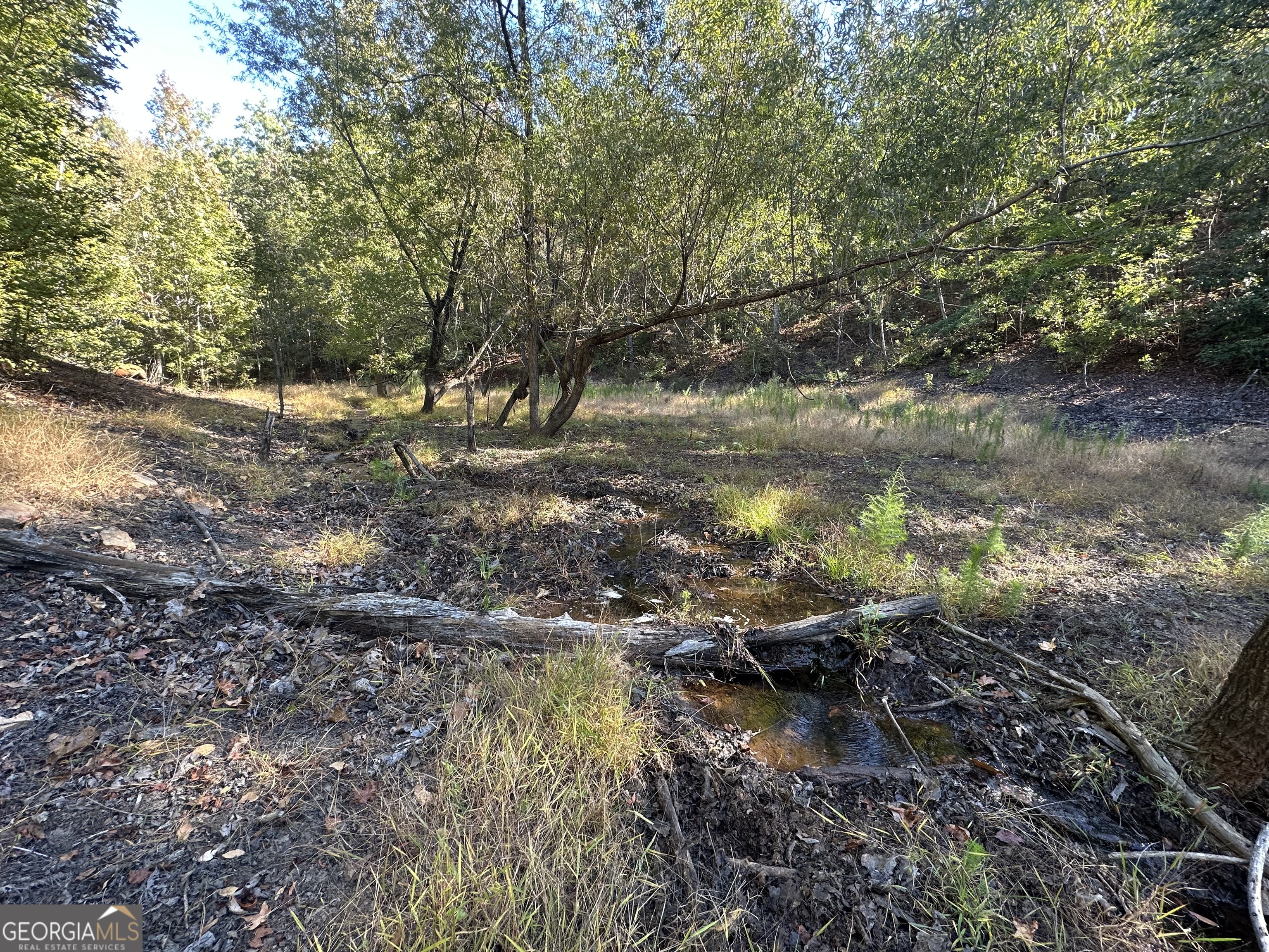 0 Hamp Smith Road Thomaston, GA 30286 - Photo 9 of 28 a backyard of a house with lots of green space