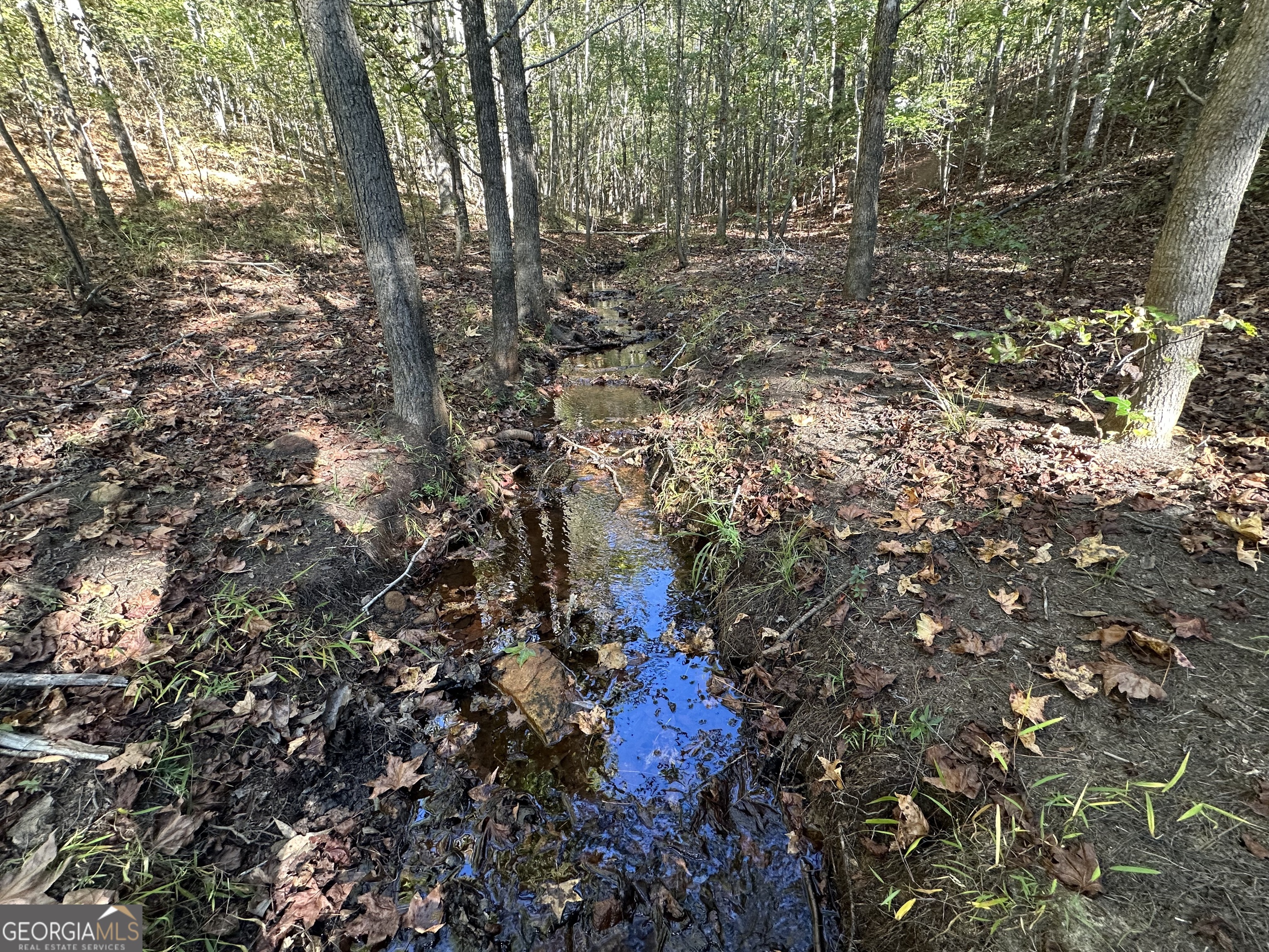 0 Hamp Smith Road Thomaston, GA 30286 - Photo 10 of 28 a view of building