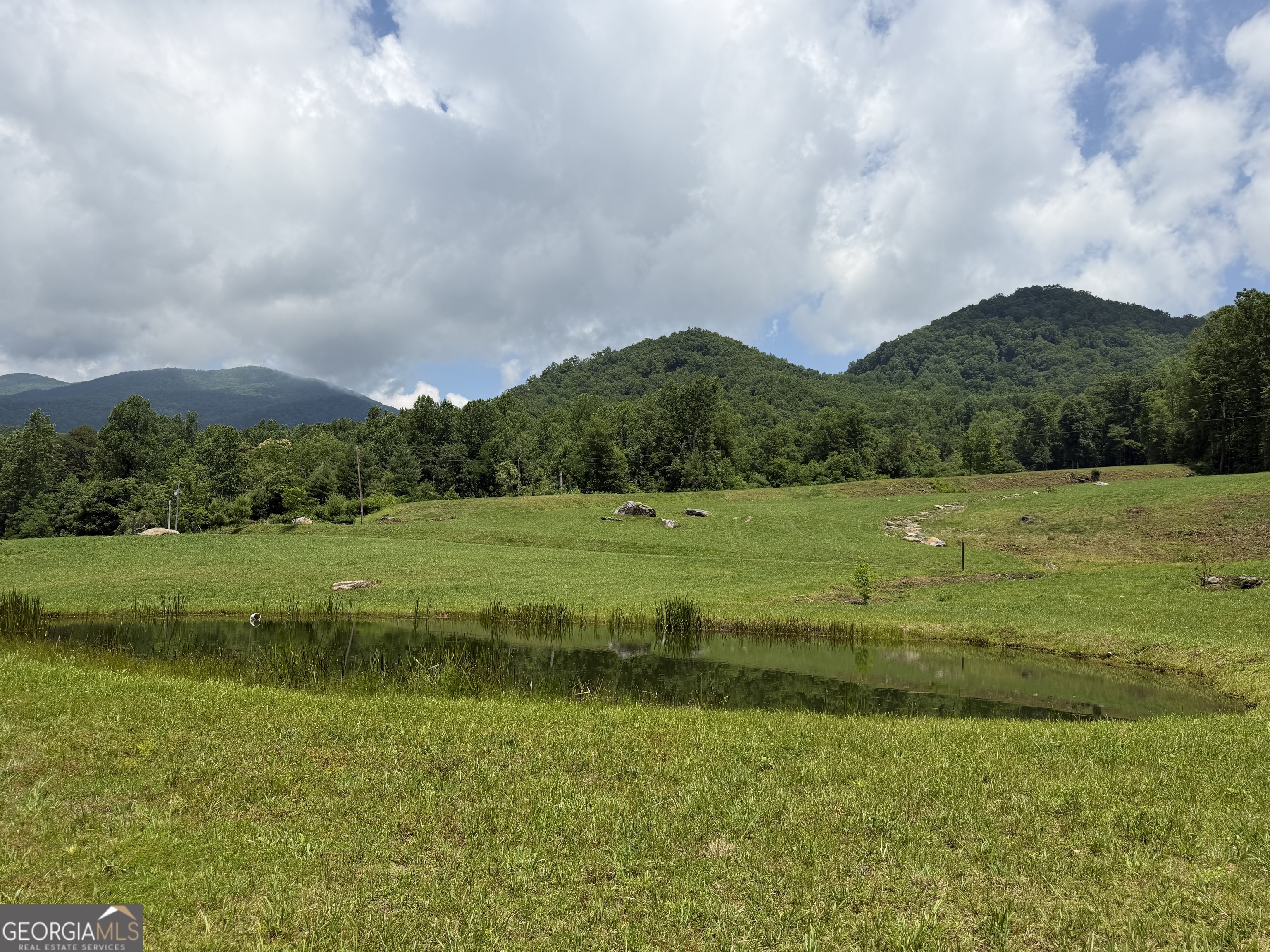1449 Muskrat Creek Road Hayesville, NC 28904 - Photo 63 of 95