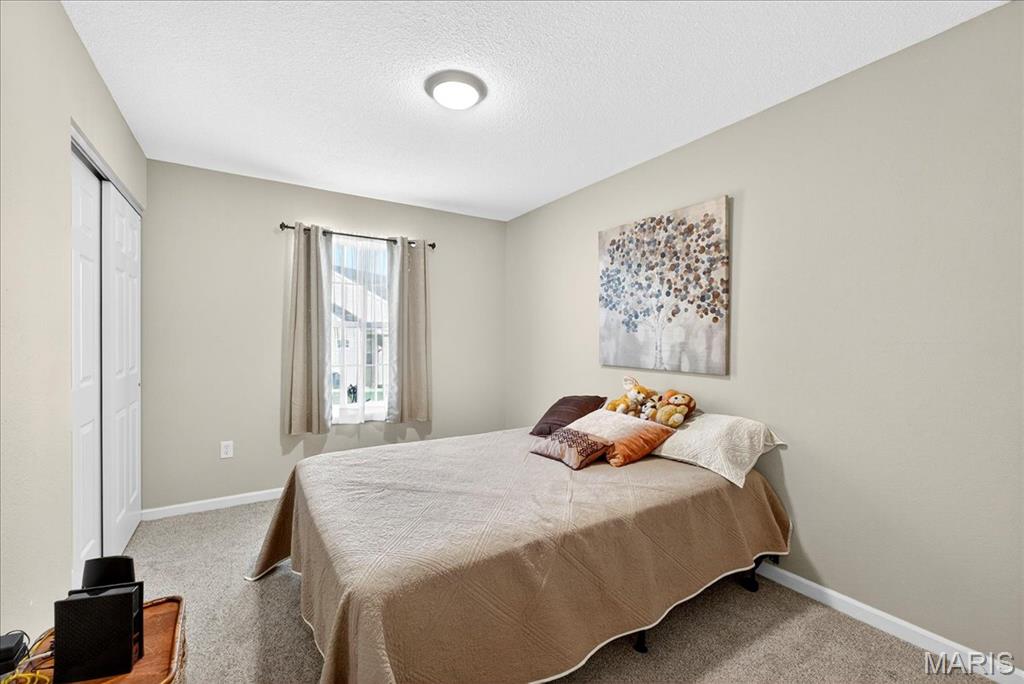 344 Jarvis Court, Unit B Troy, IL 62294 - Photo 16 of 25