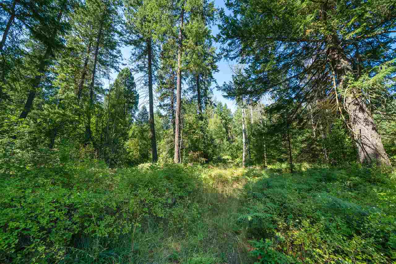 26111 North Yale Road Chattaroy, WA 99003 - Photo 14 of 20