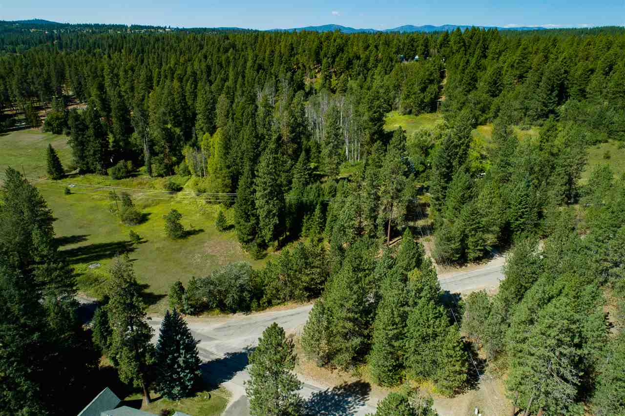 26111 North Yale Road Chattaroy, WA 99003 - Photo 3 of 20