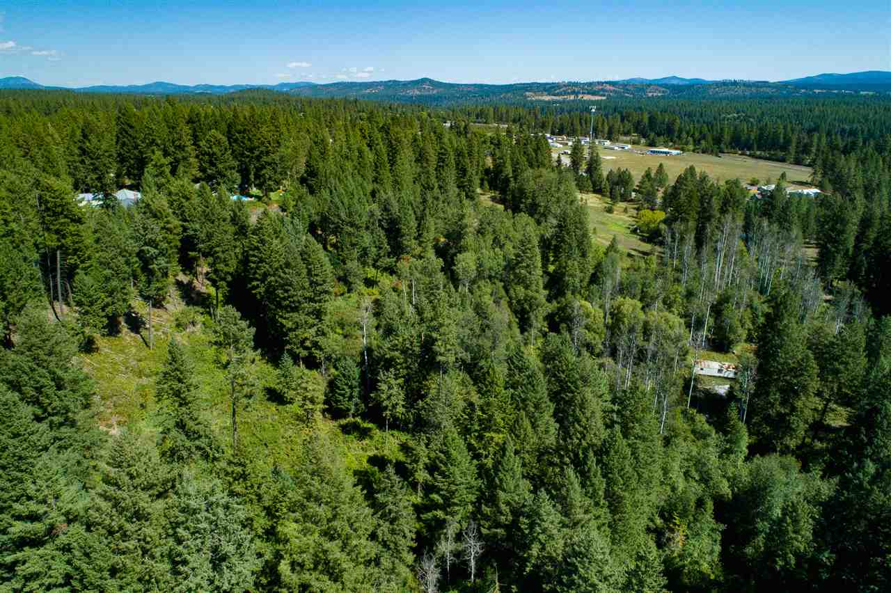 26111 North Yale Road Chattaroy, WA 99003 - Photo 4 of 20