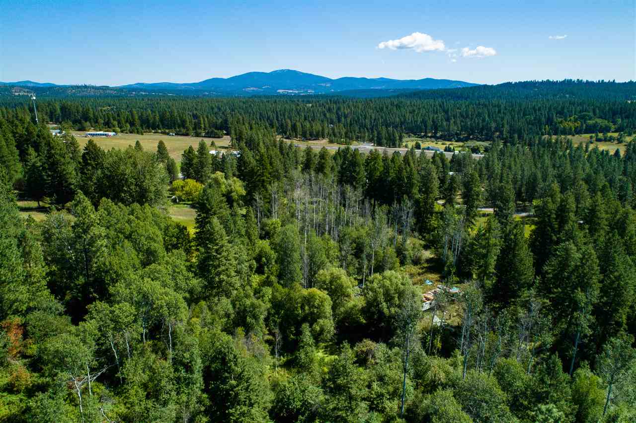 26111 North Yale Road Chattaroy, WA 99003 - Photo 5 of 20