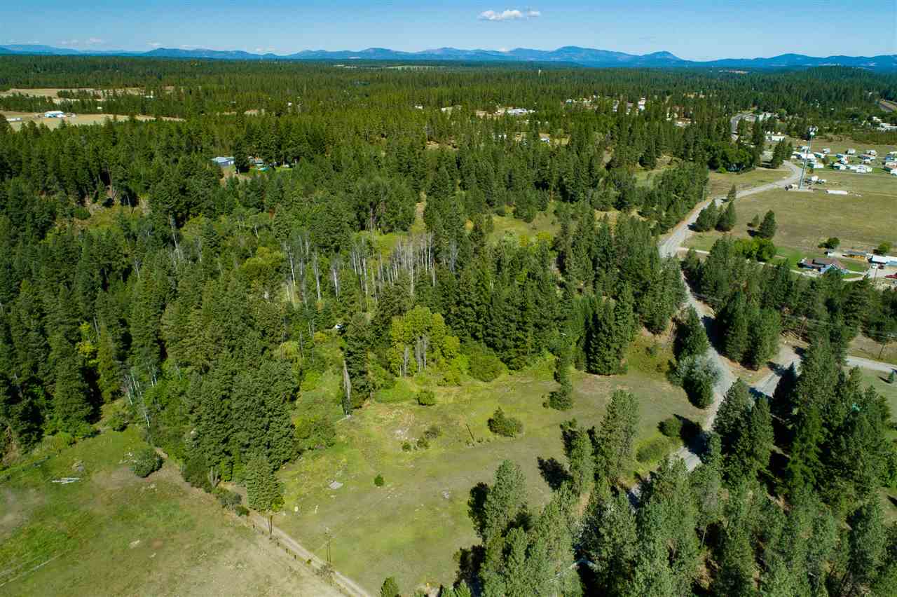 26111 North Yale Road Chattaroy, WA 99003 - Photo 6 of 20