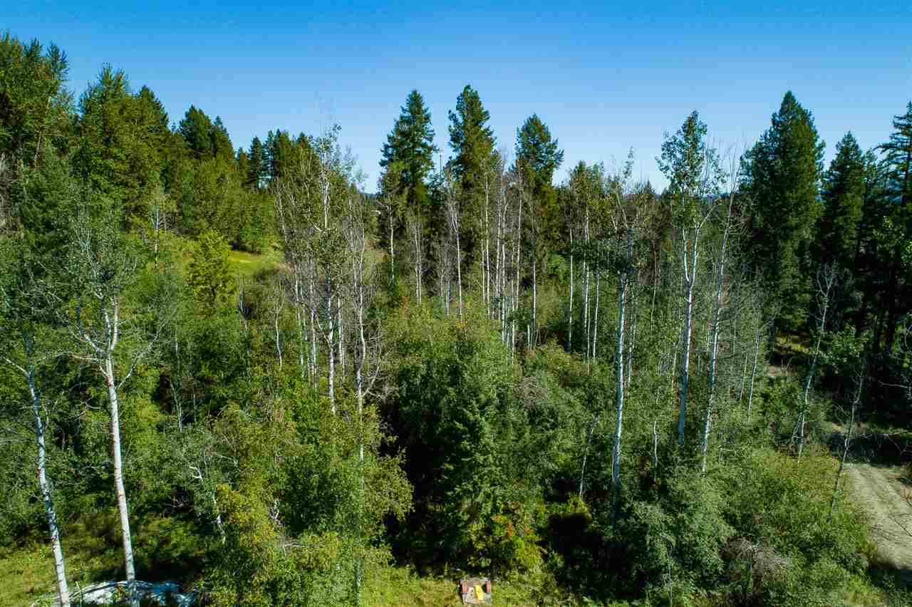 26111 North Yale Road Chattaroy, WA 99003 - Photo 7 of 20