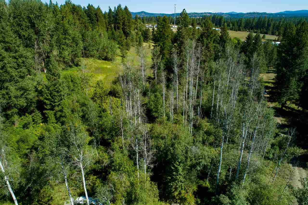 26111 North Yale Road Chattaroy, WA 99003 - Photo 9 of 20