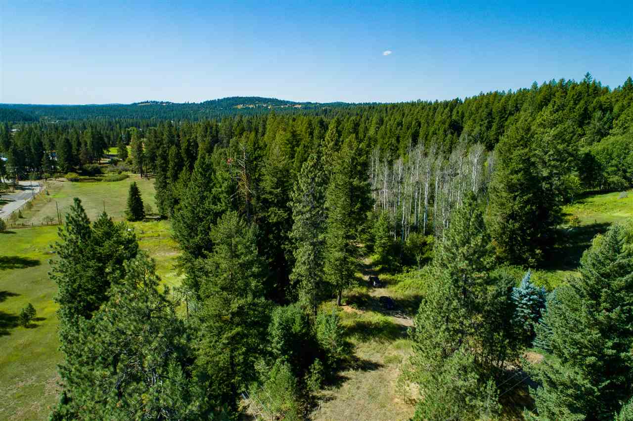 26111 North Yale Road Chattaroy, WA 99003 - Photo 10 of 20