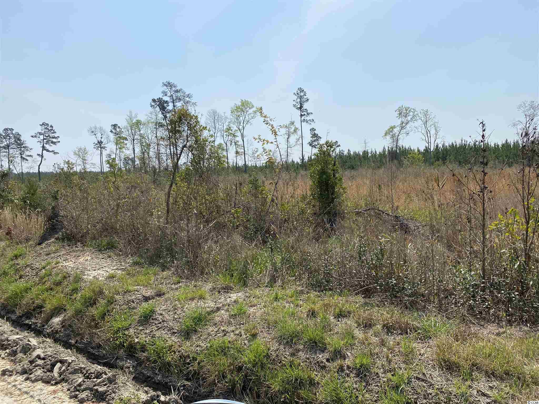 Tbd Gilbert Road Conway, SC 29527 - Photo 2 of 13