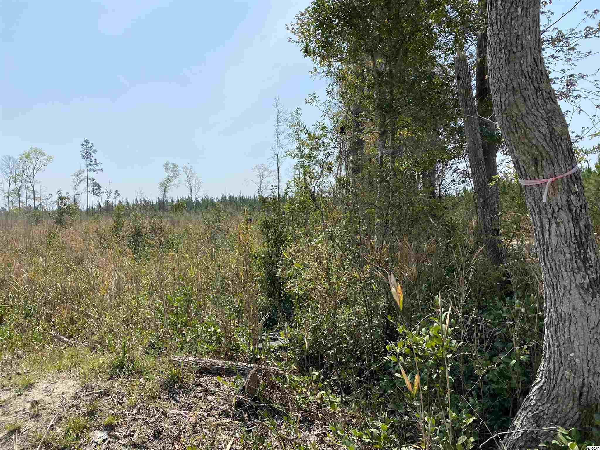 Tbd Gilbert Road Conway, SC 29527 - Photo 11 of 13