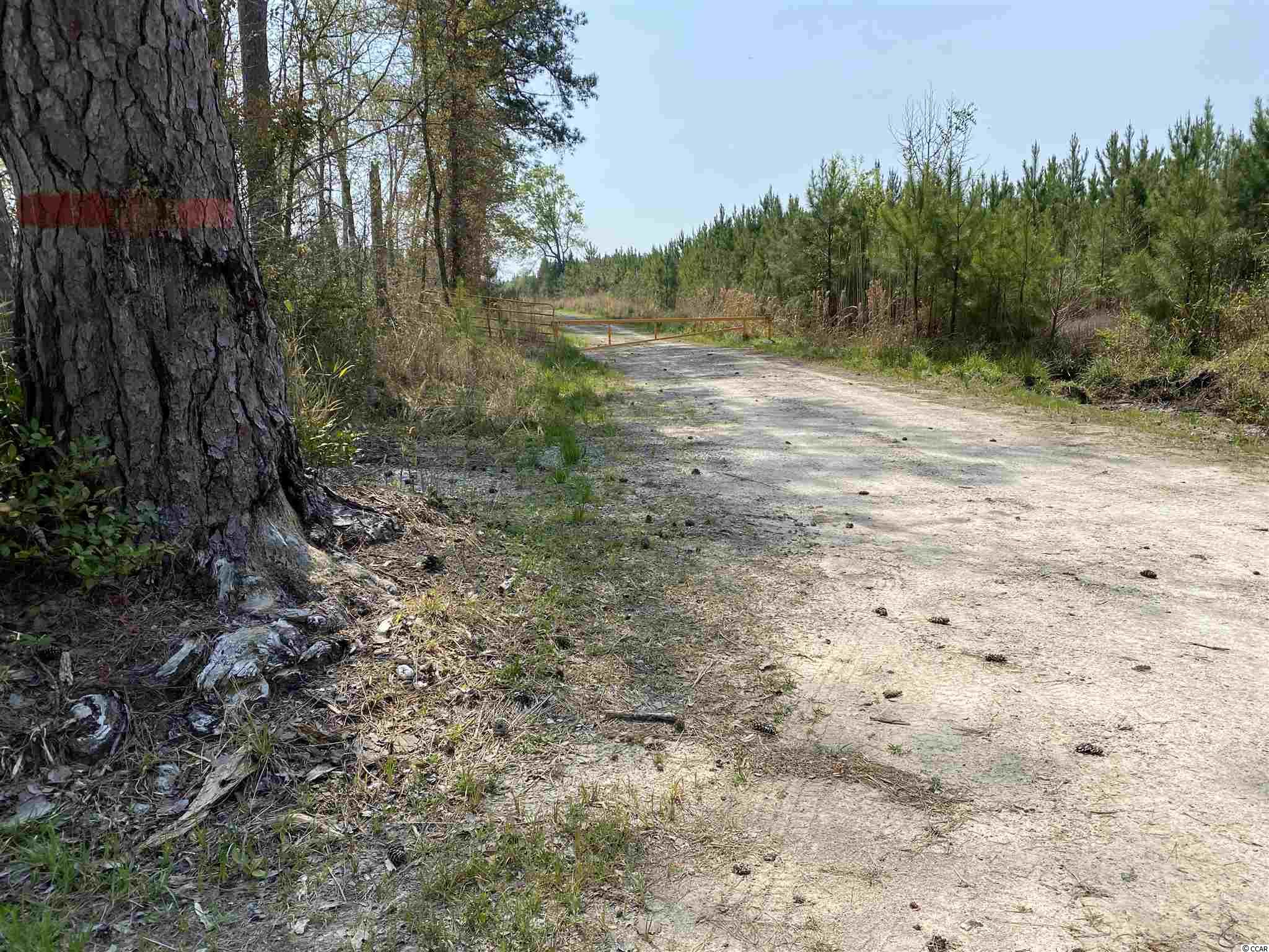 Tbd Gilbert Road Conway, SC 29527 - Photo 12 of 13