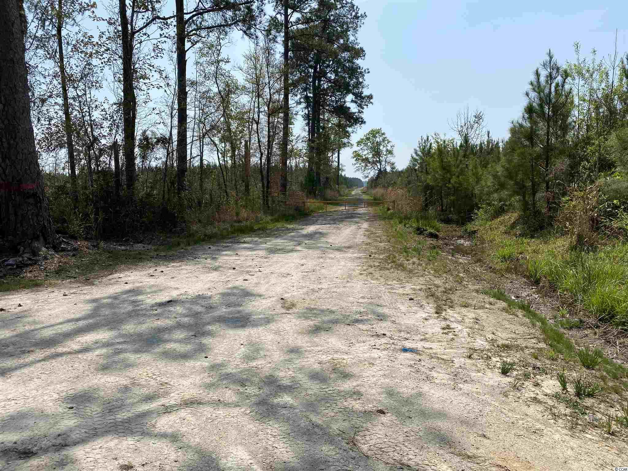 Tbd Gilbert Road Conway, SC 29527 - Photo 13 of 13