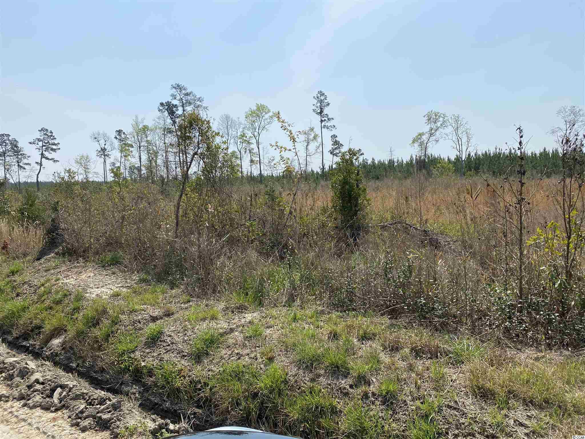 Tbd Gilbert Road Conway, SC 29527 - Photo 3 of 13