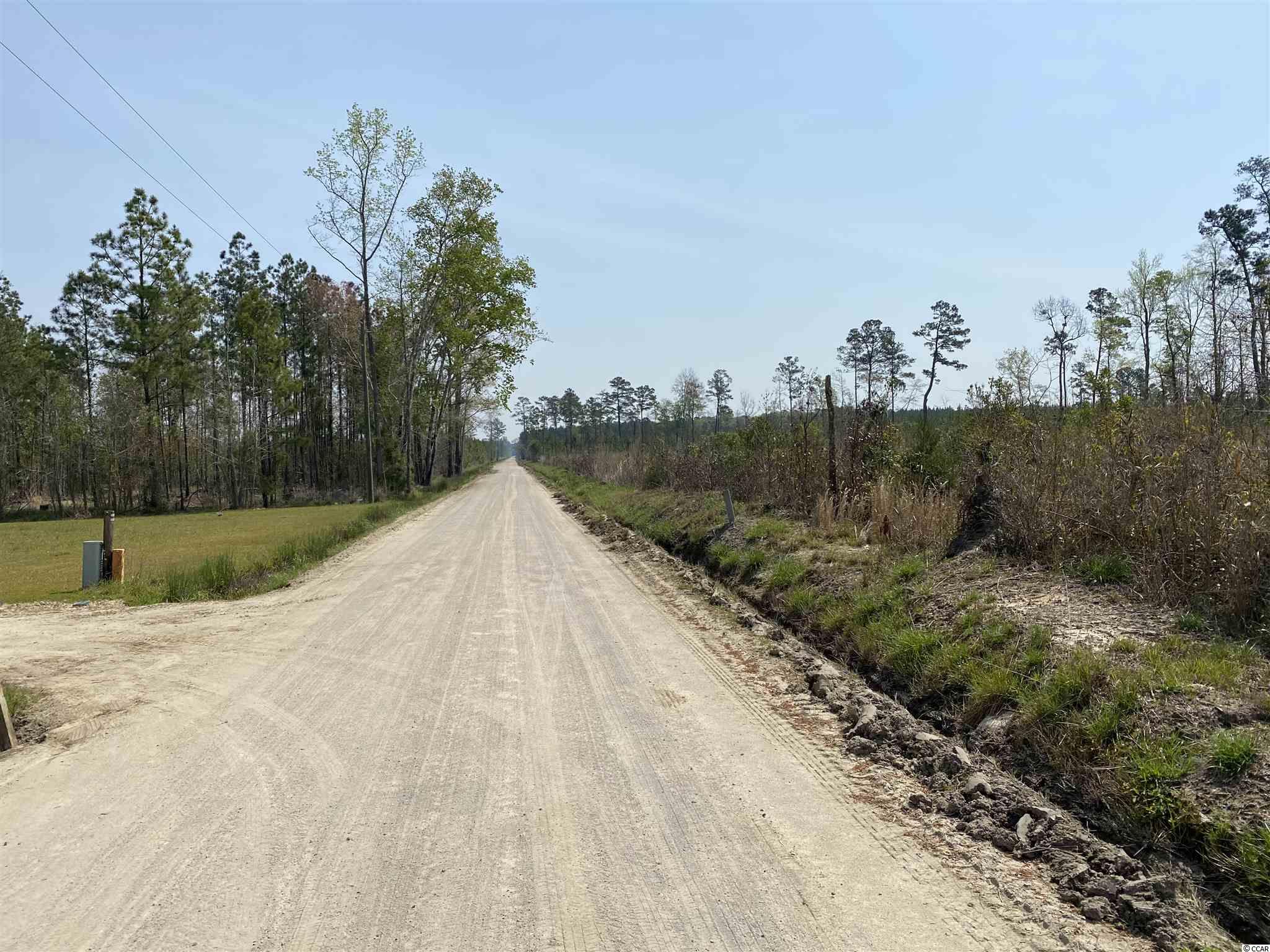 Tbd Gilbert Road Conway, SC 29527 - Photo 4 of 13